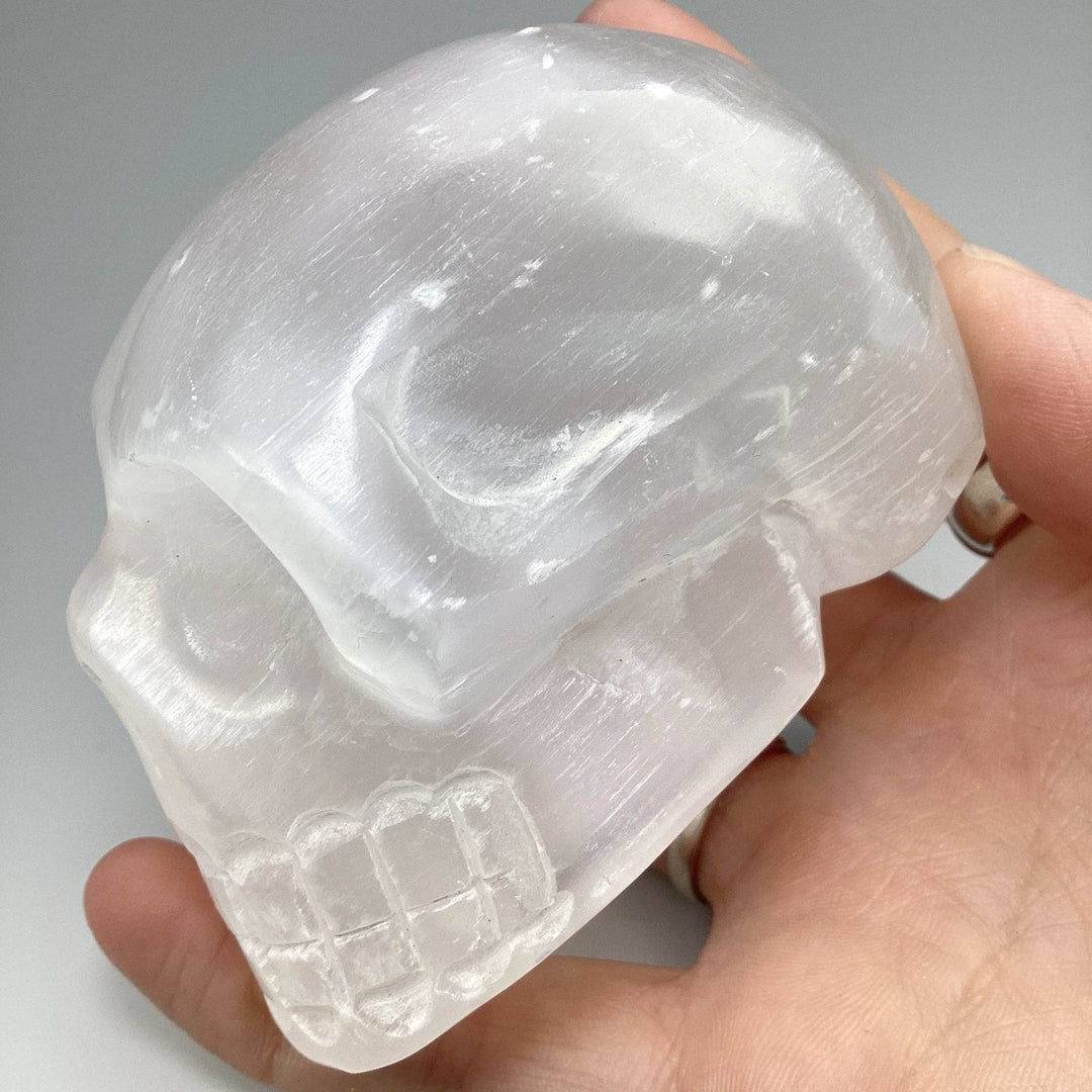 Carved Selenite Skull - Rocks and Gems Canada