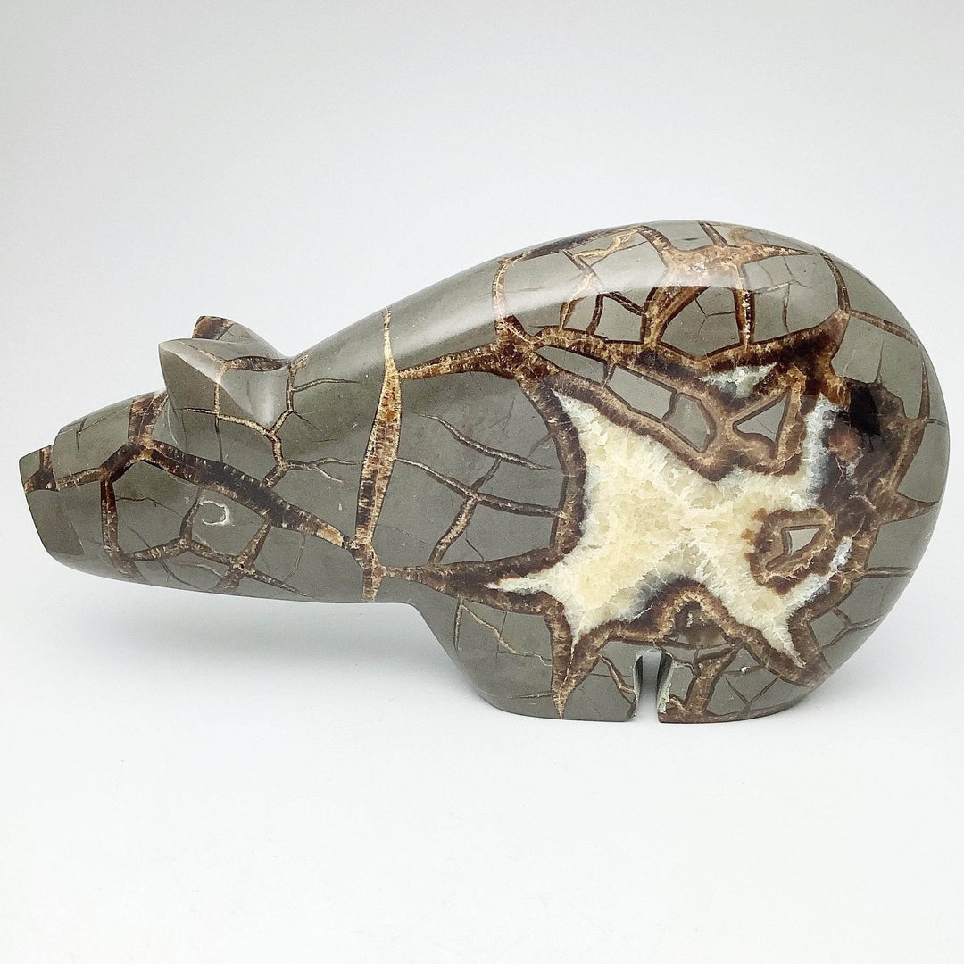 Septarian Bear Carving - Rocks and Gems Canada