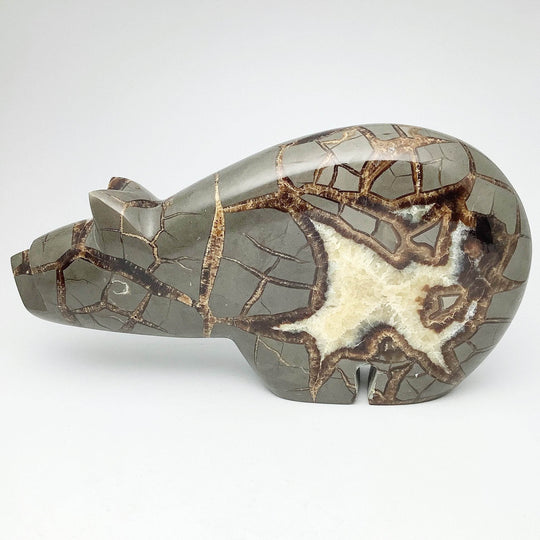Septarian Bear Carving - Rocks and Gems Canada