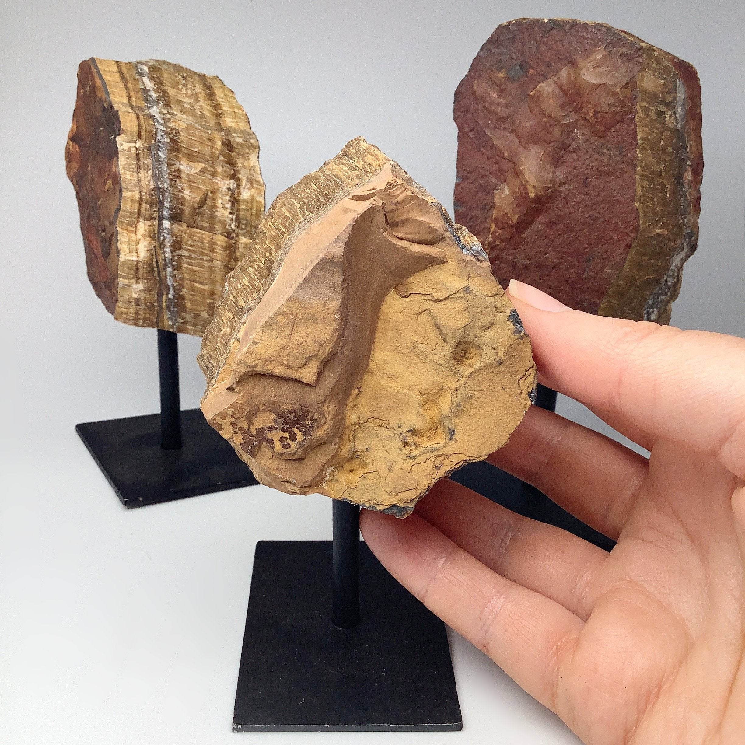 Rough Tiger Eye on Display Stand - Rocks and Gems Canada