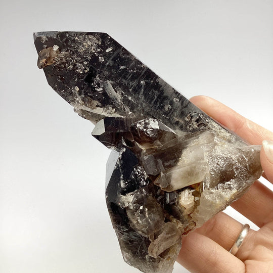 Smoky Quartz Cluster - Rocks and Gems Canada