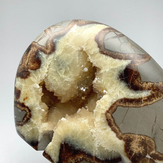 Septarian Bear Carving - Rocks and Gems Canada