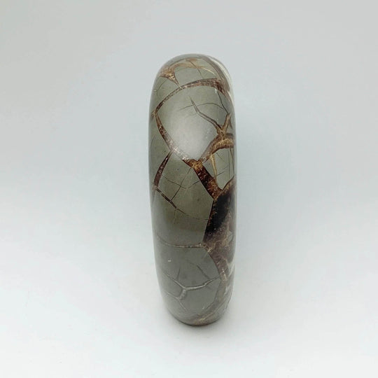 Septarian Bear Carving - Rocks and Gems Canada