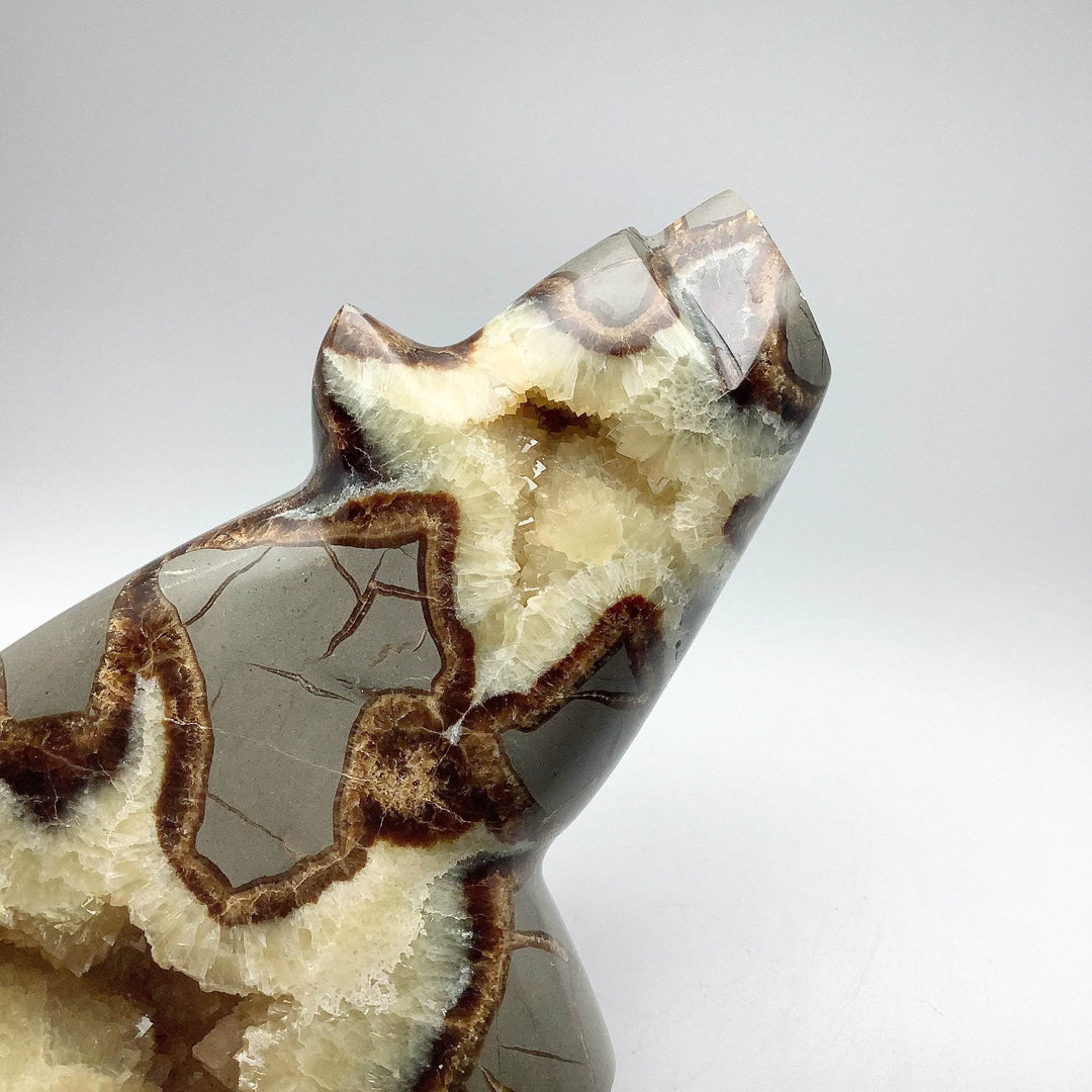 Septarian Bear Carving - Rocks and Gems Canada