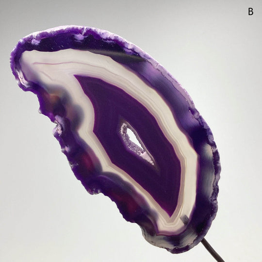Agate Slice on Stand - Rocks and Gems Canada