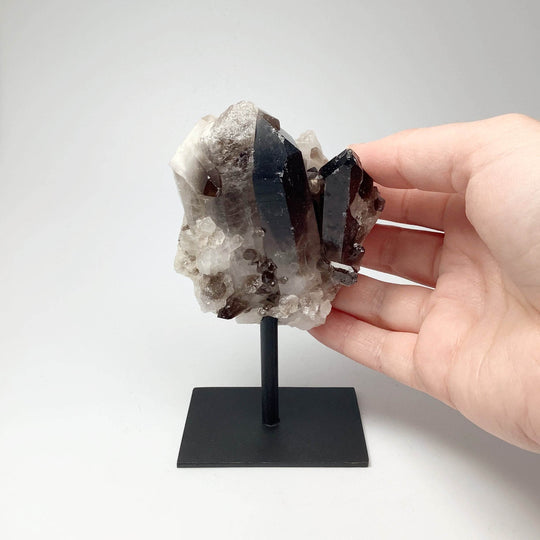 Smoky Quartz Cluster on Display Stand - Rocks and Gems Canada