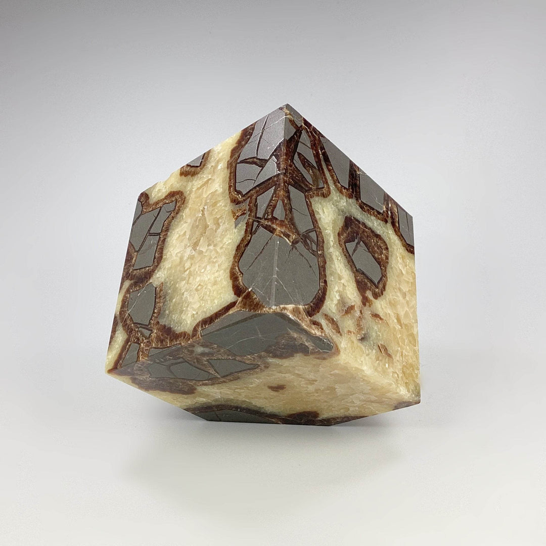 Septarian Cube - Rocks and Gems Canada