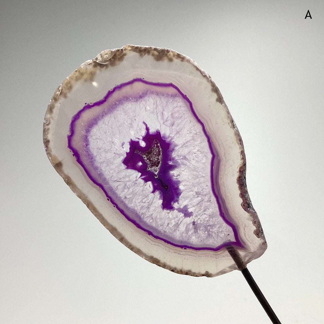 Agate Slice on Stand - Rocks and Gems Canada