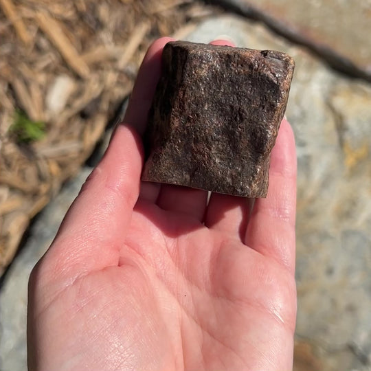 NWA Chondrite Meteorite
