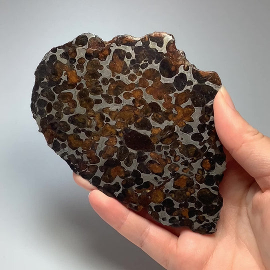 Sericho Large Meteorite Slice