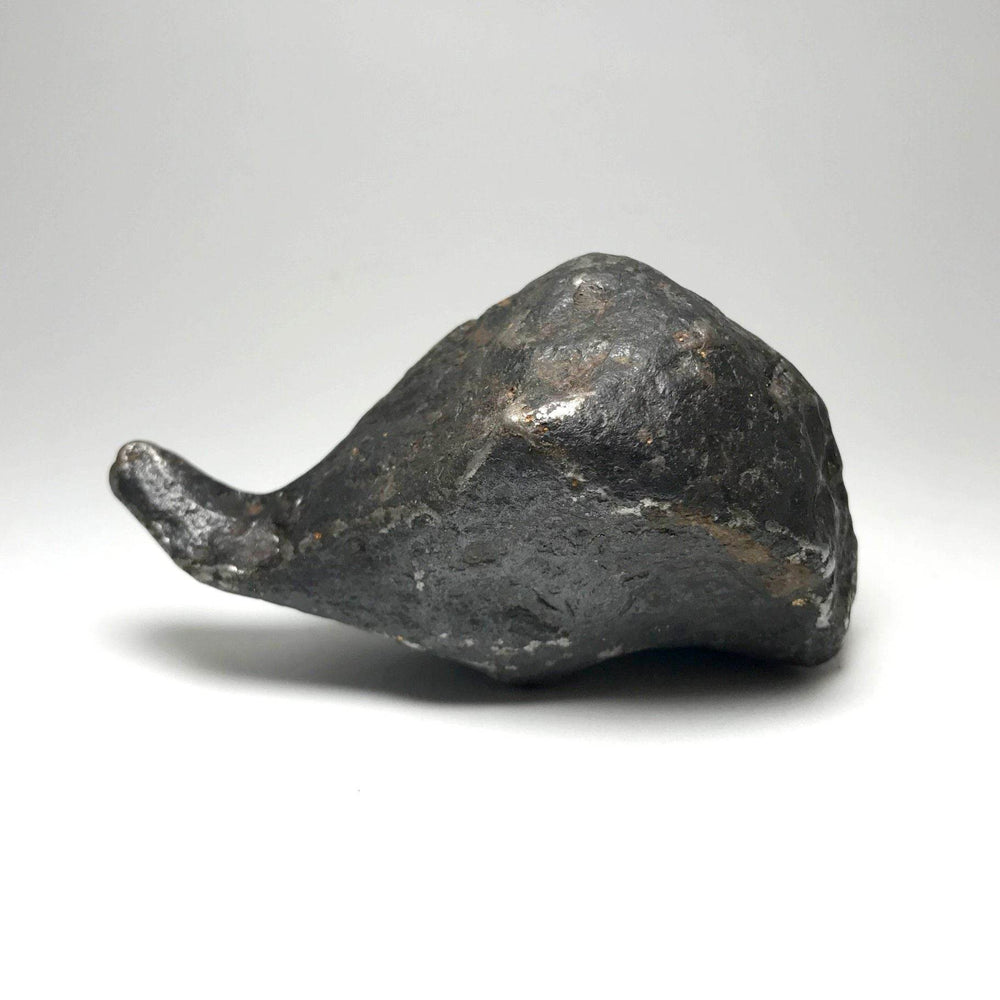 Campo Del Cielo Meteorite - Rocks and Gems Canada