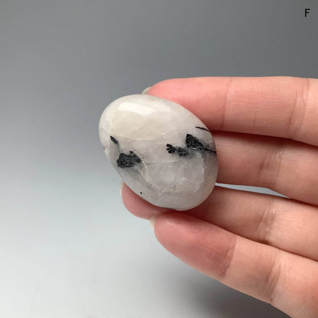 Tourmalated Quartz Touch Stone - Rocks and Gems Canada