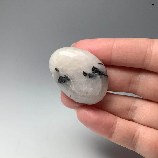 Tourmalated Quartz Touch Stone - Rocks and Gems Canada