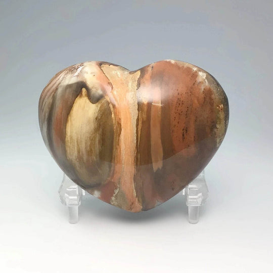 Petrified Wood Heart - Rocks and Gems Canada
