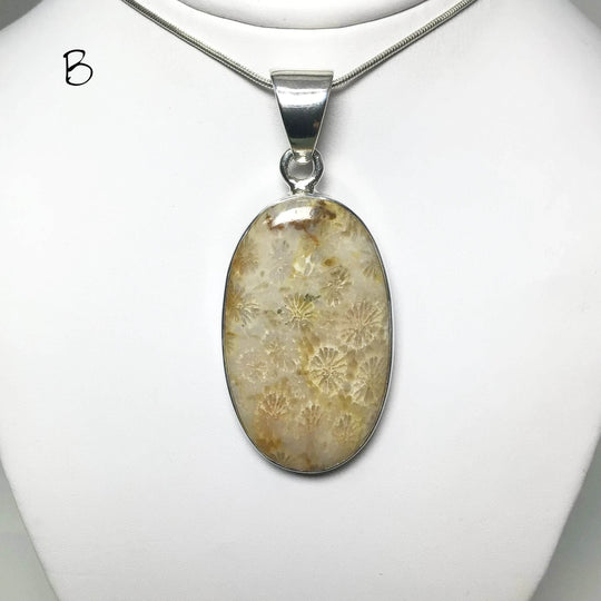 Fossilized Coral Pendant - Rocks and Gems Canada