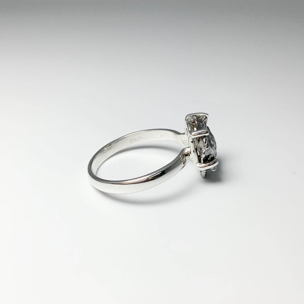 Campo Del Cielo Meteorite Ring - Rocks and Gems Canada