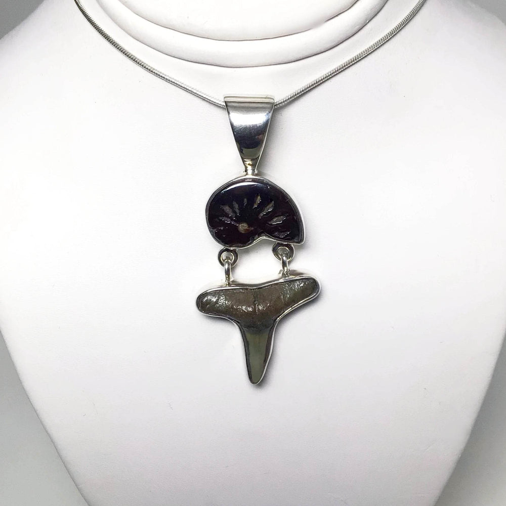 Fossilized Shark Tooth with Ammonite Pendant - Rocks and Gems Canada