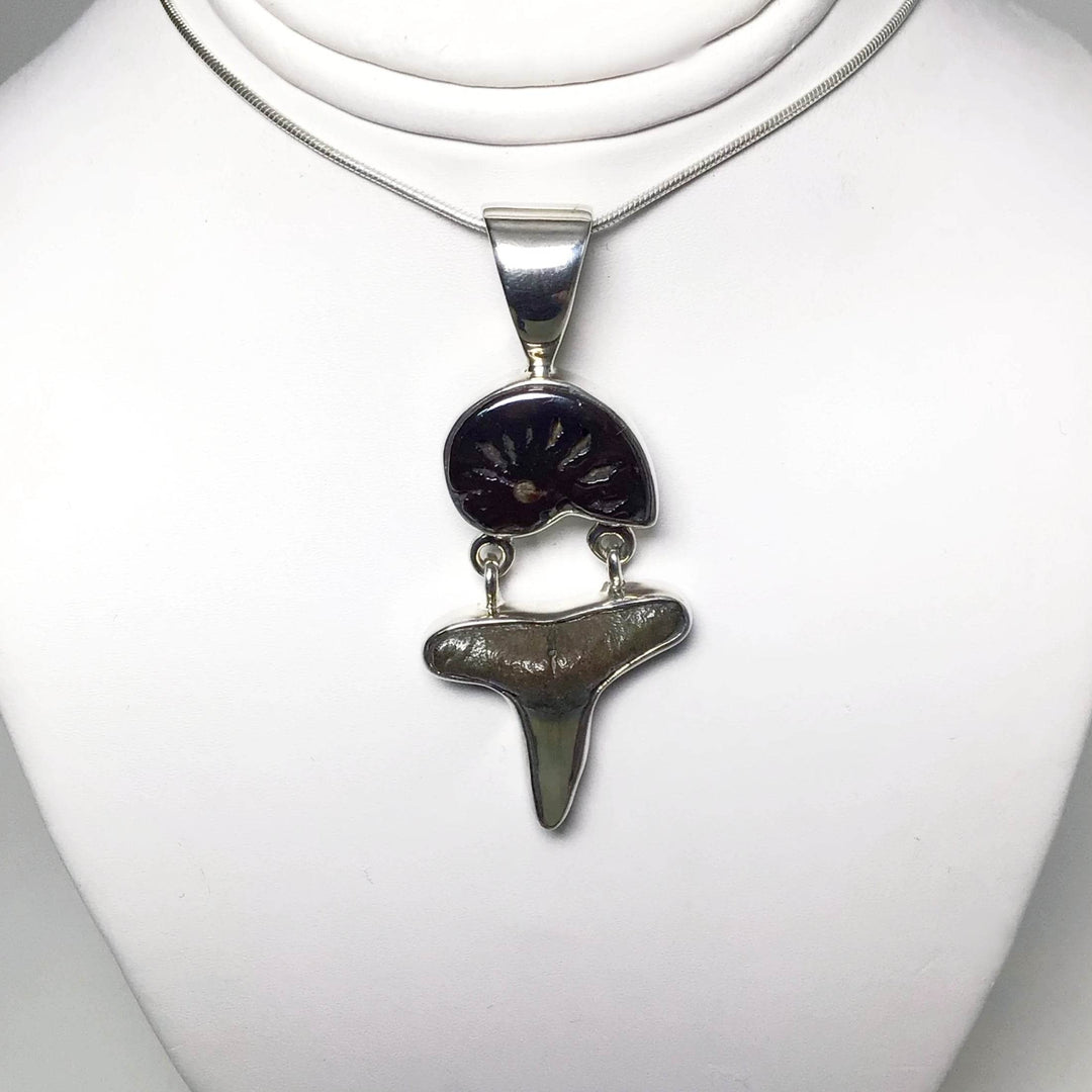Fossilized Shark Tooth with Ammonite Pendant - Rocks and Gems Canada