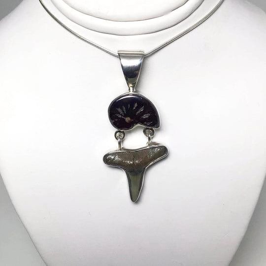 Fossilized Shark Tooth with Ammonite Pendant - Rocks and Gems Canada