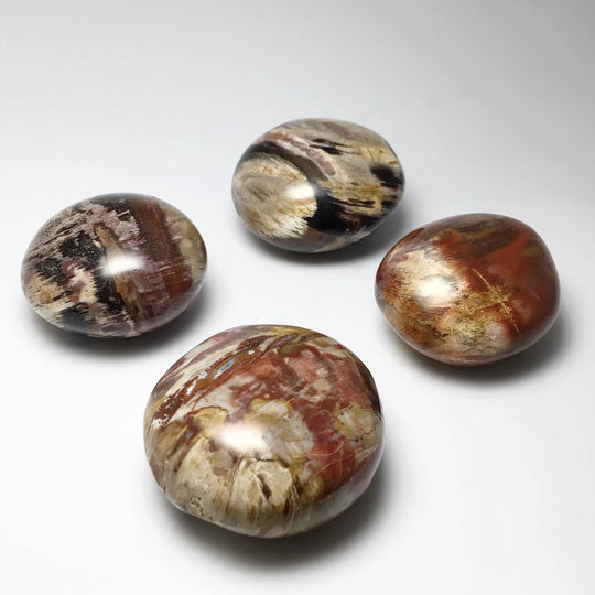 Petrified Wood Tumble - Rocks and Gems Canada