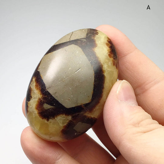 Septarian Tumble - Rocks and Gems Canada