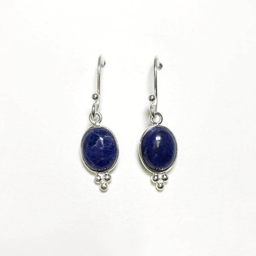 Sodalite Dangle Earrings - Rocks and Gems Canada