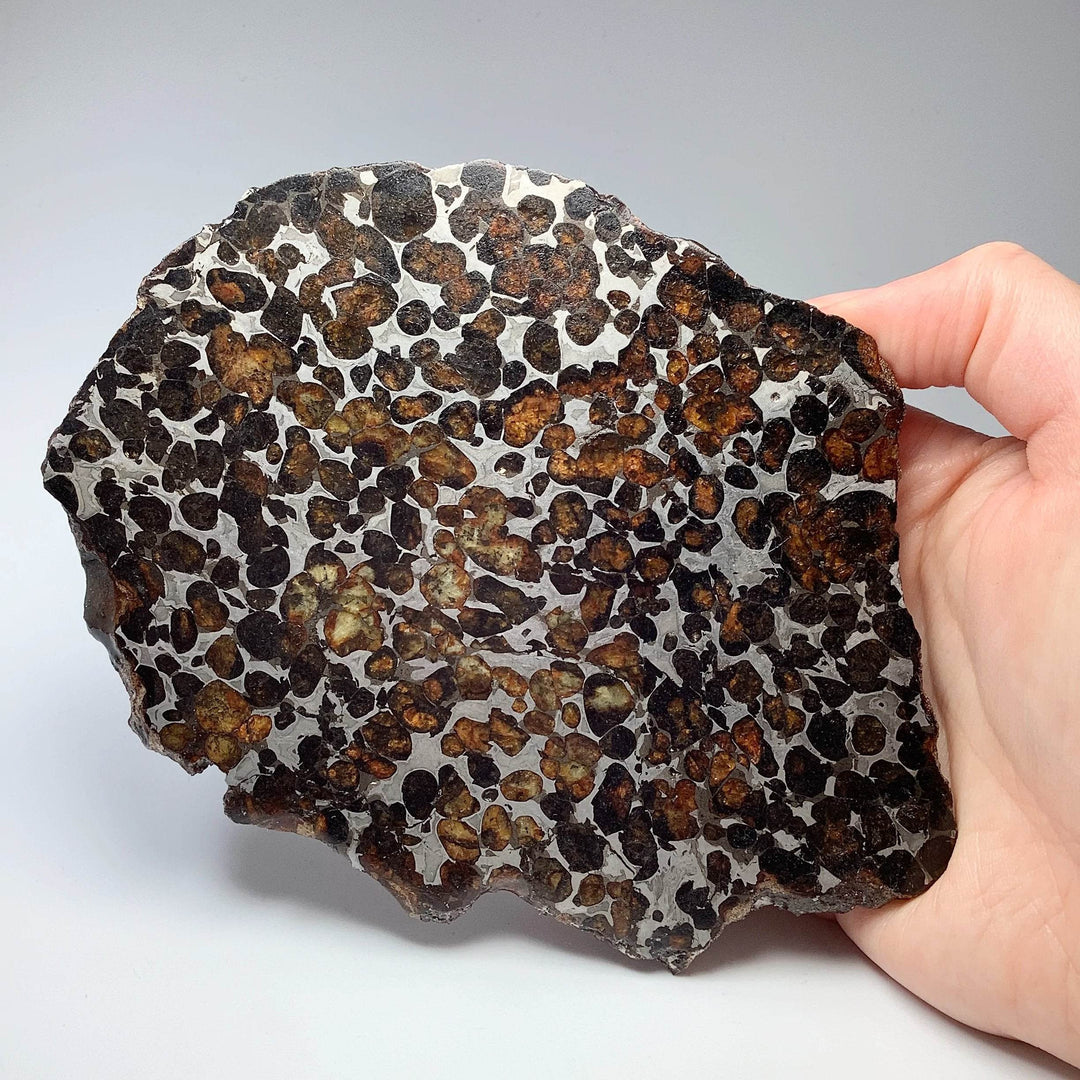 Sericho Large Meteorite Slice - Rocks and Gems Canada