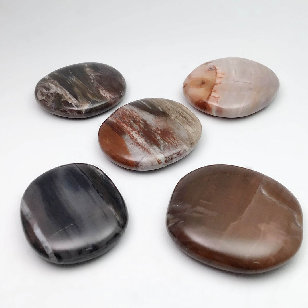 Petrified Wood Touch Stone - Rocks and Gems Canada