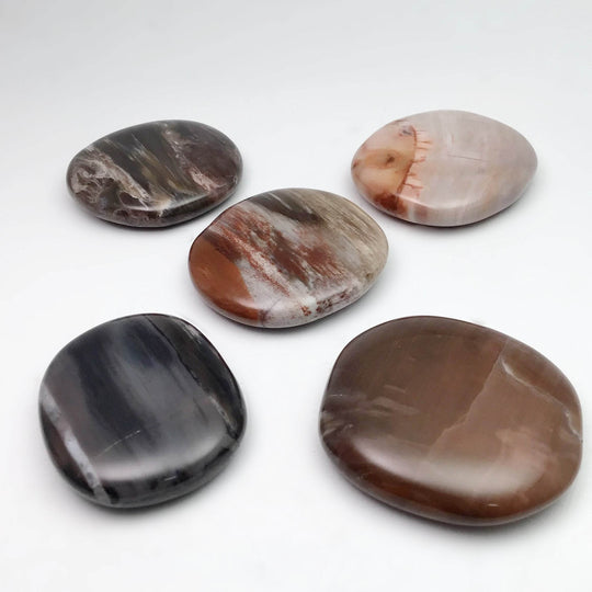 Petrified Wood Touch Stone - Rocks and Gems Canada