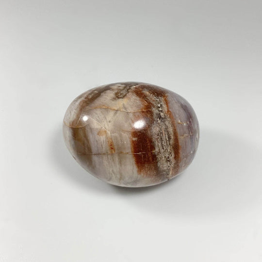 Petrified Wood Tumble - Rocks and Gems Canada