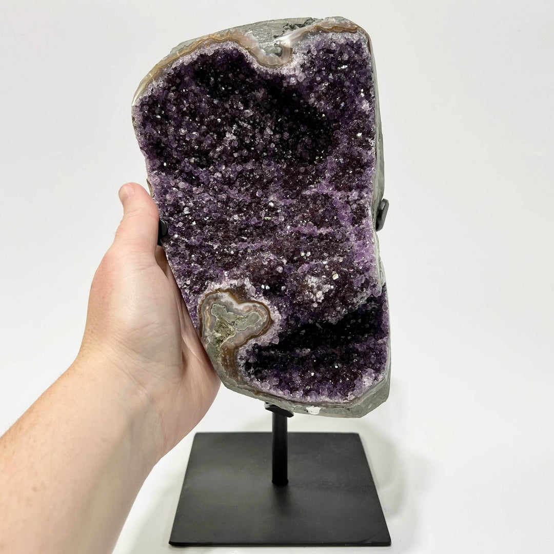 Large Amethyst Druze Cluster on Display Stand - Rocks and Gems Canada