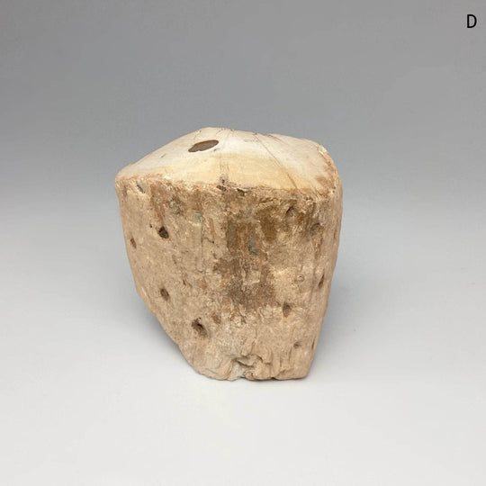 Petrified Wood Branch - Rocks and Gems Canada