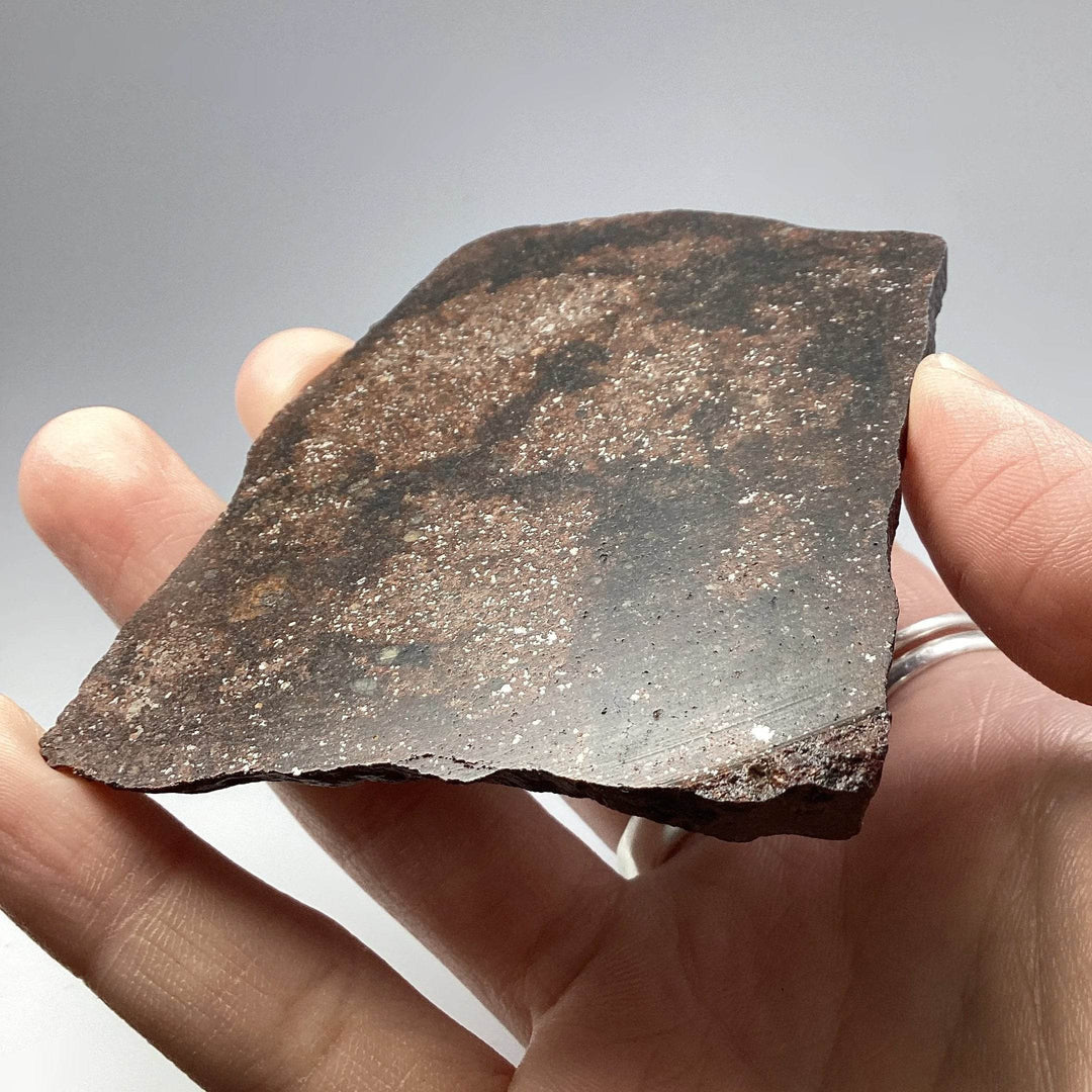 NWA Chondrite Meteorite Slab - Rocks and Gems Canada