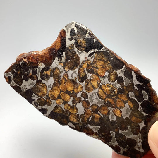 Sericho Meteorite Slice - Rocks and Gems Canada