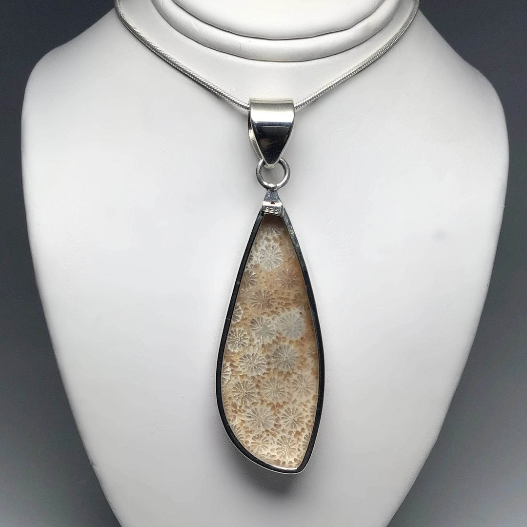 Fossilized Coral Pendant - Rocks and Gems Canada