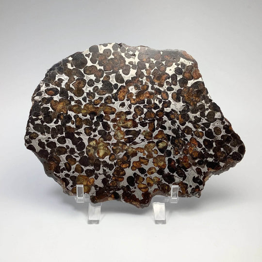 Sericho Large Meteorite Slice - Rocks and Gems Canada