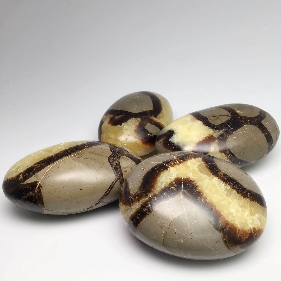 Septarian Tumble - Rocks and Gems Canada