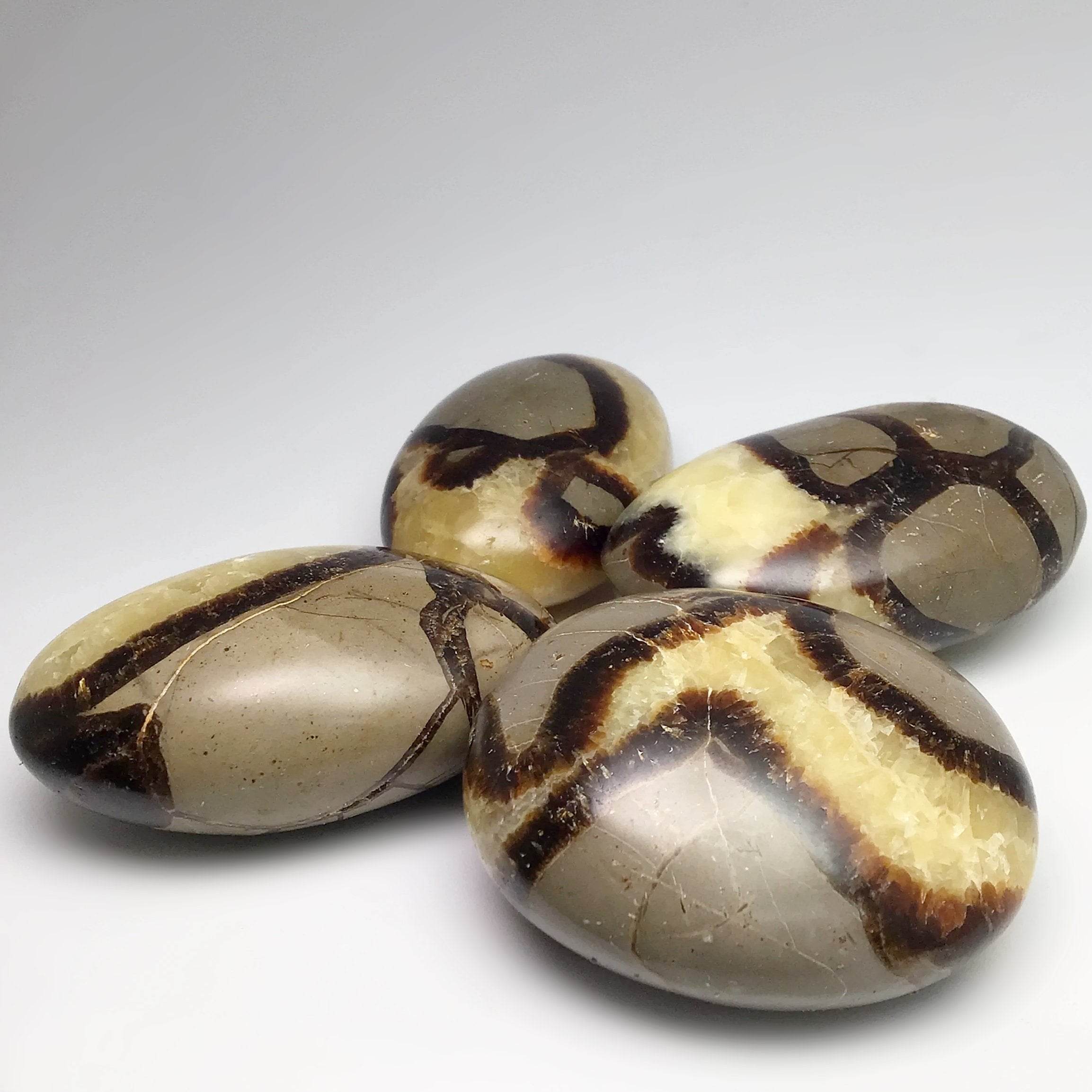 Septarian Tumble - Rocks and Gems Canada