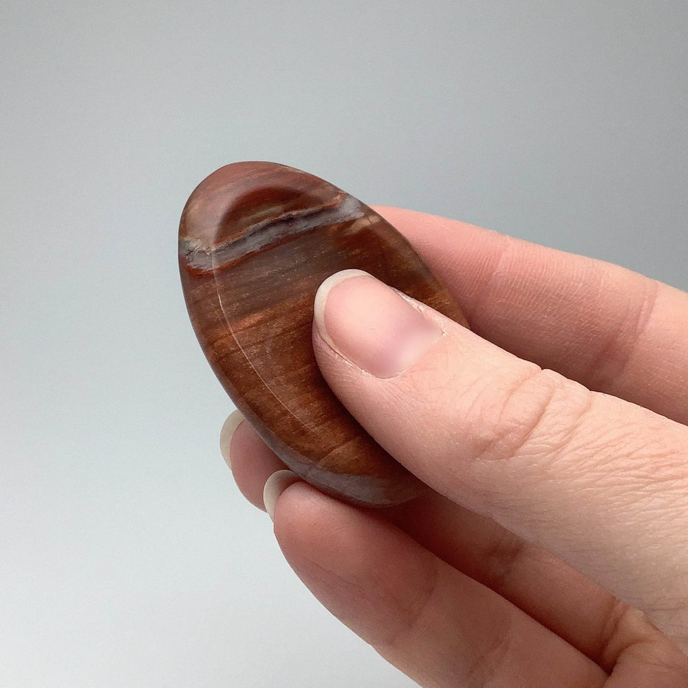 Worry Stone - Petrified Wood - Rocks and Gems Canada