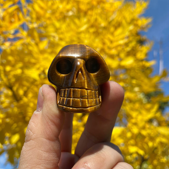 Carved Tiger Eye Skull - Rocks and Gems Canada