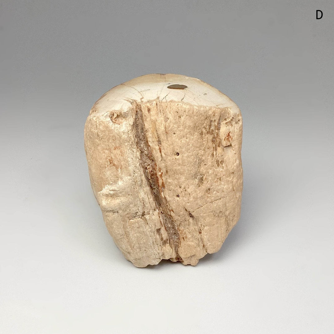 Petrified Wood Branch - Rocks and Gems Canada