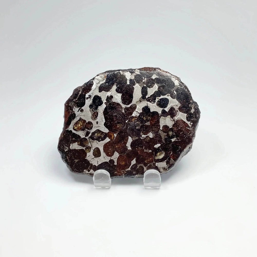 Sericho Meteorite Slice - Rocks and Gems Canada