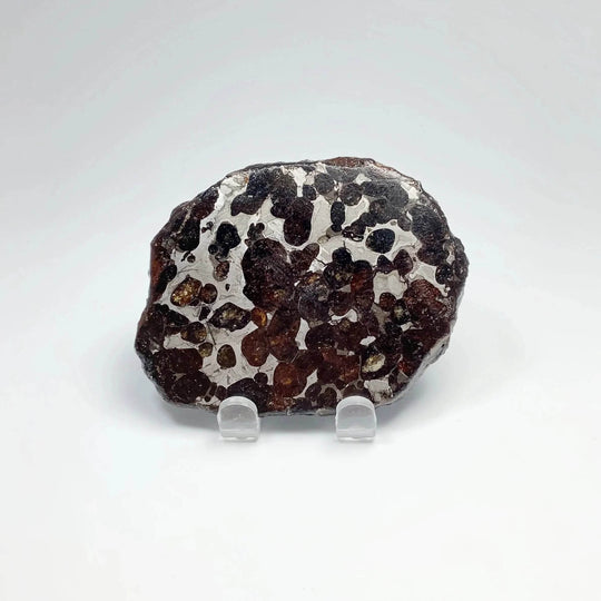 Sericho Meteorite Slice - Rocks and Gems Canada