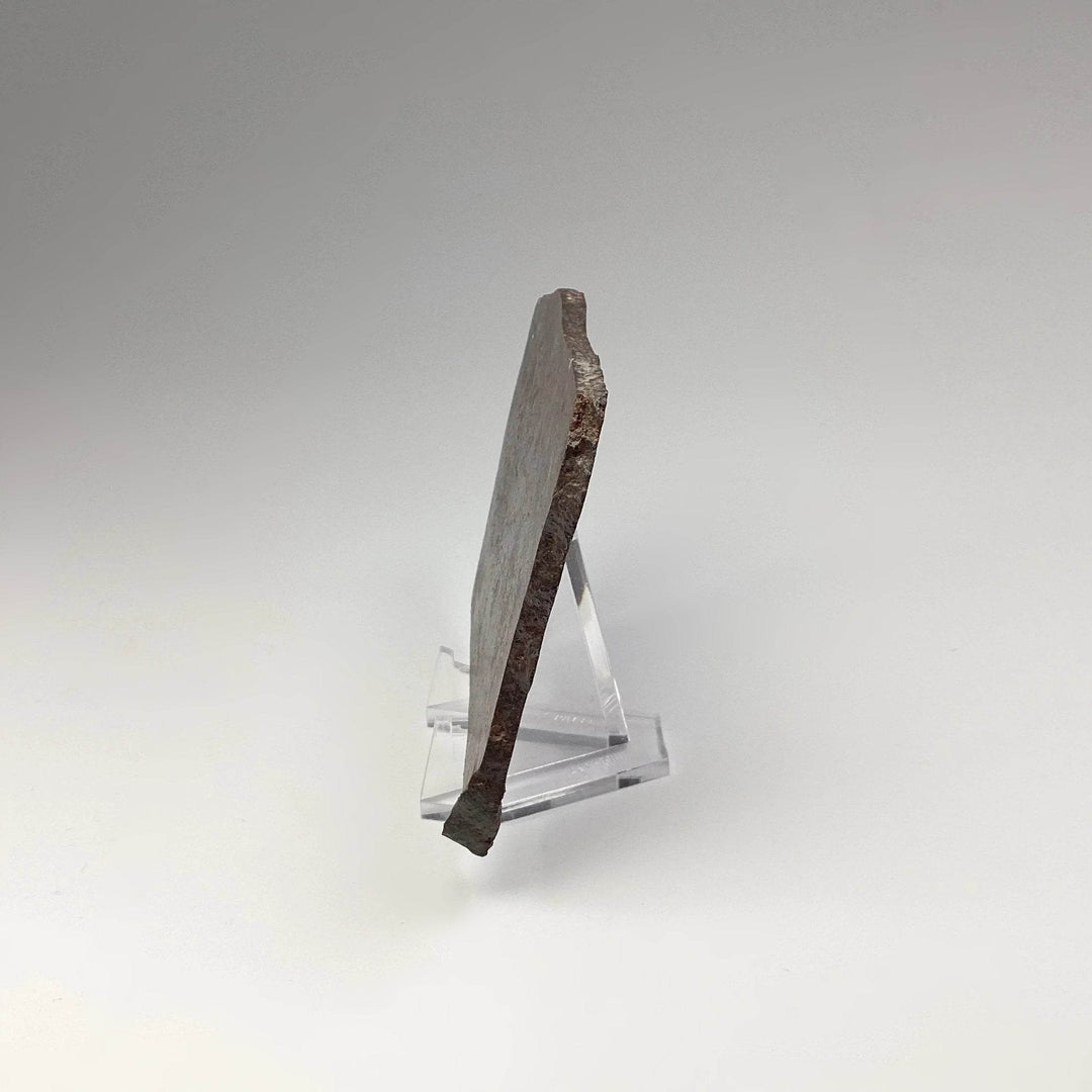 NWA Chondrite Meteorite Slab - Rocks and Gems Canada