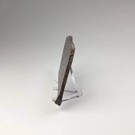 NWA Chondrite Meteorite Slab - Rocks and Gems Canada