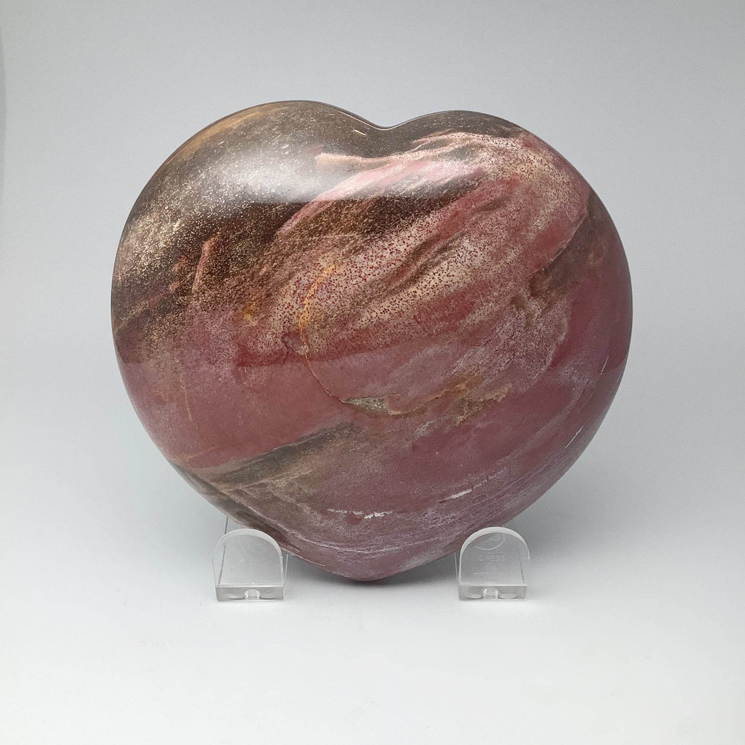 Petrified Wood Large Heart - Rocks and Gems Canada