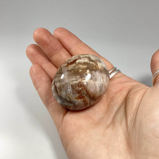 Petrified Wood Tumble - Rocks and Gems Canada