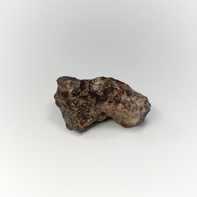 NWA Chondrite Meteorite Specimen