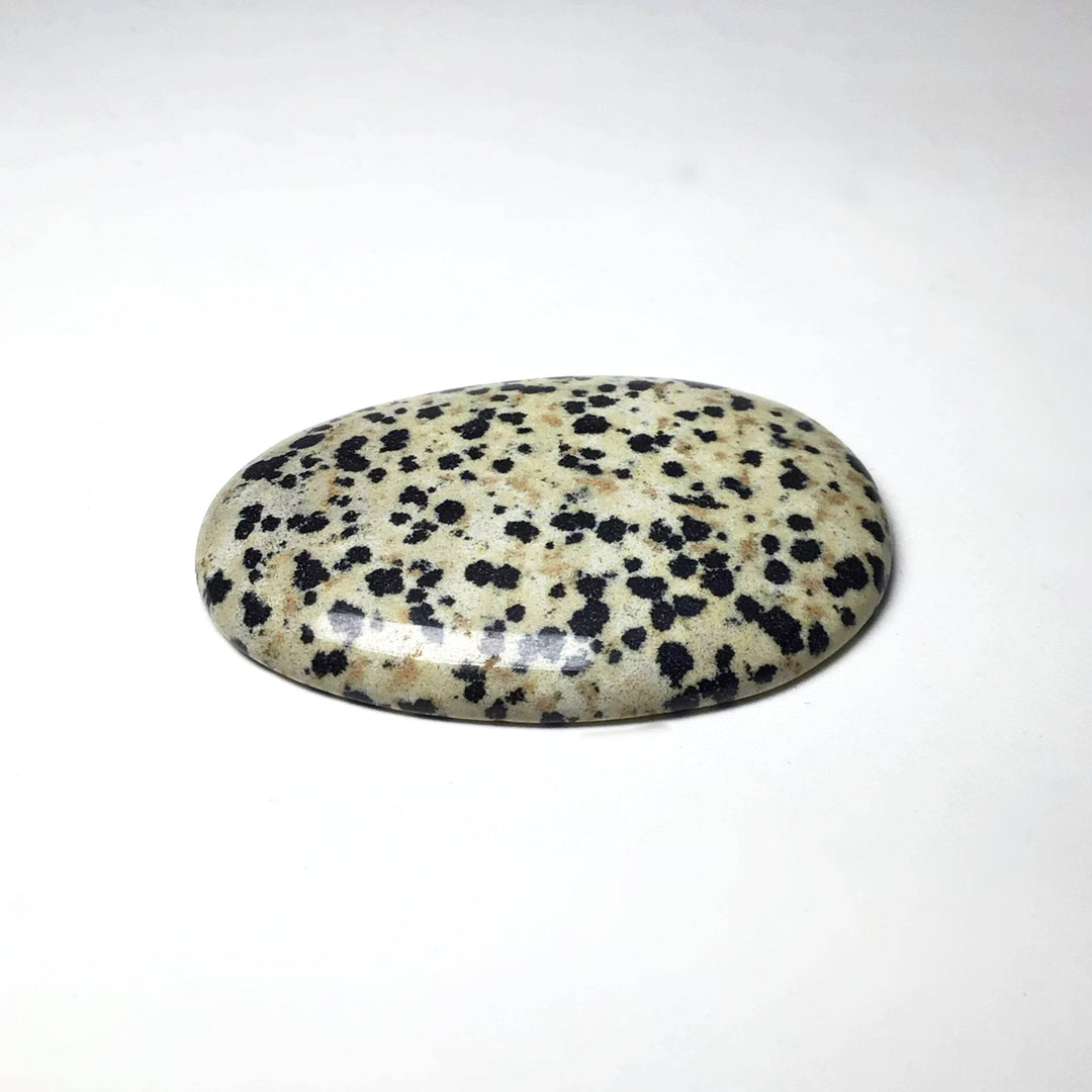 Worry Stone - Dalmatian Jasper - Rocks and Gems Canada