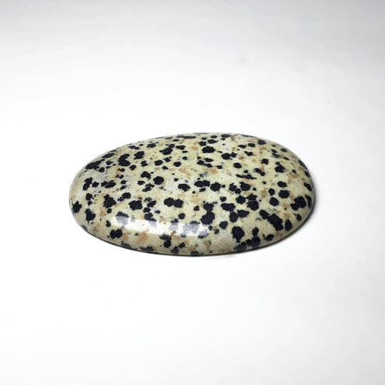 Worry Stone - Dalmatian Jasper - Rocks and Gems Canada